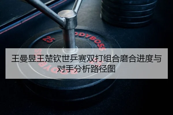 wang-man-yu-wang-chu-qin-shi-ping-sai-shuang-da-zu-he-mo-he-jin-du-yu-dui-shou-fen-xi-lu-jing-tu-2-284.jpg